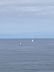 The Saxenda Sisterhood 