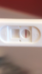 my pregnancy test