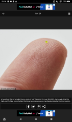 Royal Style and Beauty: Carpe Diadem! No tears or tiers, just tiaras please 