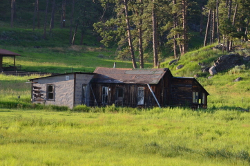 American houses