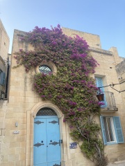 The Saxenda Sisterhood 