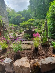 What have you done in the garden today? Part 2
