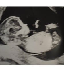 Gender Prediction - Nub Theory