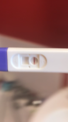 my pregnancy test