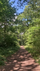 The Saxenda Sisterhood 