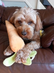 Pamela thread 3 - Bile Duct Cancer, off to London! 