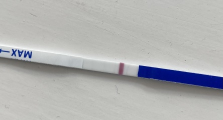 Faulty test? Early positive? No line? Can you see it!