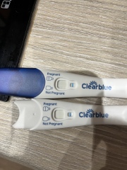 Clear blue test. Evap line or positive