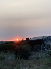 The Saxenda Sisterhood 