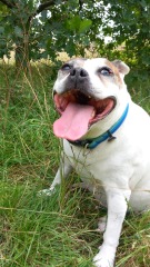 Pamela - Bile Duct Cancer, thread 4, London has given me a chance! 