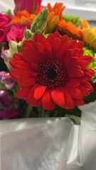 Bouquet flowers ID