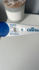 Clear blue test. Evap line or positive