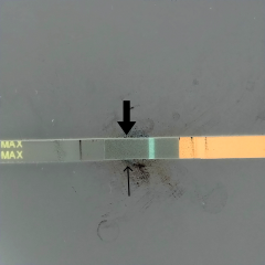 12 dpo faint positive 