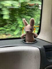 MUMSNET HELP! Jelly Cat Kangaroo