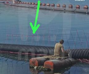 Ukraine Invasion: Part 43