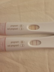 FET/IVF July 2023 - Thread 2