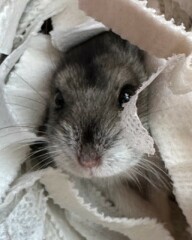 What are your big decisions today?