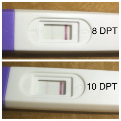 What IVF dose and how many eggs did you get?