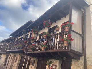 The Saxenda Sisterhood 