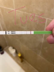 OPK help. Photos attached, any/all help appreciated!