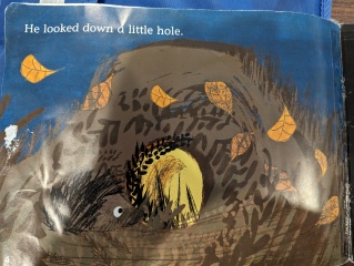 Y1 reading - totally confused 