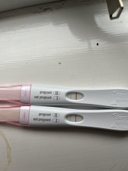 Line progression and spotting