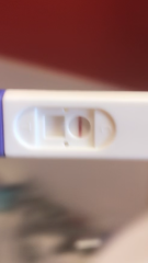 my pregnancy test