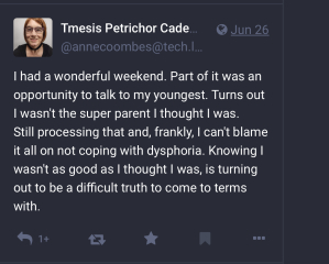 Pool rules changed after outcry over trans official in change room