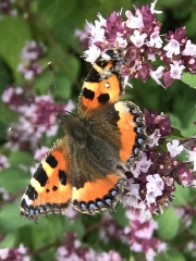 Come and tell me your dull and unexciting news 26: Calmly through the day 