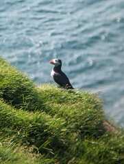 Thread 47- Covid GCSE Cohort - Summer's running away from us! 