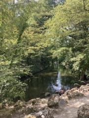 The Saxenda Sisterhood 