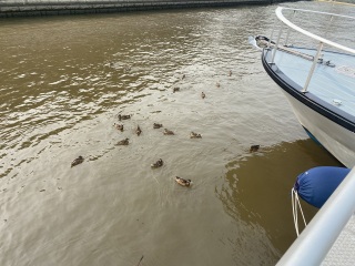 Come and tell me your dull and unexciting news 25: Calmly through the day 