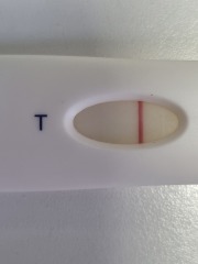 Ovulation 26th/27th April - let’s TWW together