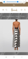 If money was no object, what dress would you buy?