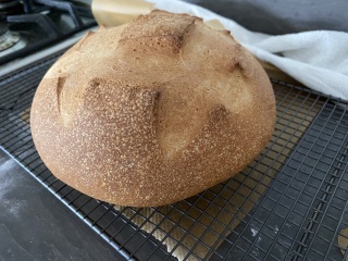 Baking focaccia (and other delicious things)