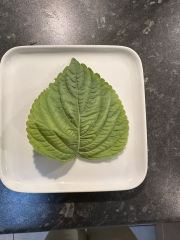 MsLatté’s Daebak Cybercafé (Kdrama addicts #41): A poorly anticipated placeholder thread to contain the Filthy Noonas’ ongoing musings on all things Korean, with Japanese and Chinese sprinkles