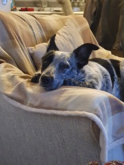 Pamela thread 3 - Bile Duct Cancer, off to London! 