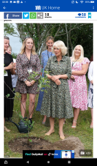 Royal Style and Beauty: Carpe Diadem! No tears or tiers, just tiaras please 