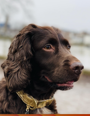 Pamela thread 5 - Bile Duct Cancer, chemo begins