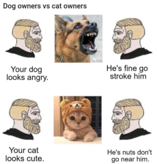 Anyone fancy joining me for a meme thread?