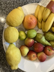 OMG my lemons!
