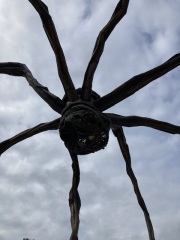 The Saxenda Sisterhood 