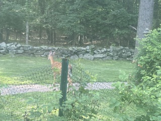 Come and tell me your dull and unexciting news 26: Calmly through the day 