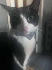 Pamela thread 3 - Bile Duct Cancer, off to London! 