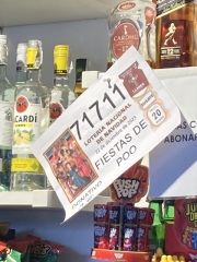 The Saxenda Sisterhood 