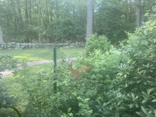 Come and tell me your dull and unexciting news 26: Calmly through the day 