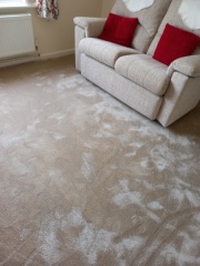 New carpet installed. Not happy.