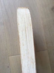 Is this mould?!