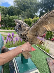 Jumping into July: Frugal Friends Financial Fun