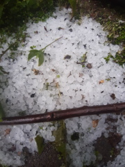 Early Summer weather watch